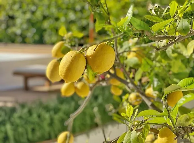 La Giuliva Charming Bed and Breakfast 4*