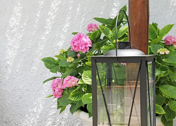 Bed and Breakfast La Giuliva Charming Ανακάπρι