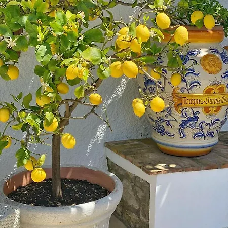 La Giuliva Charming Bed & Breakfast Anacapri (Isola di Capri)