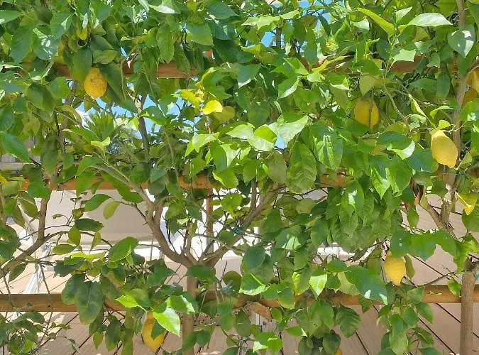 La Giuliva Charming Bed & Breakfast