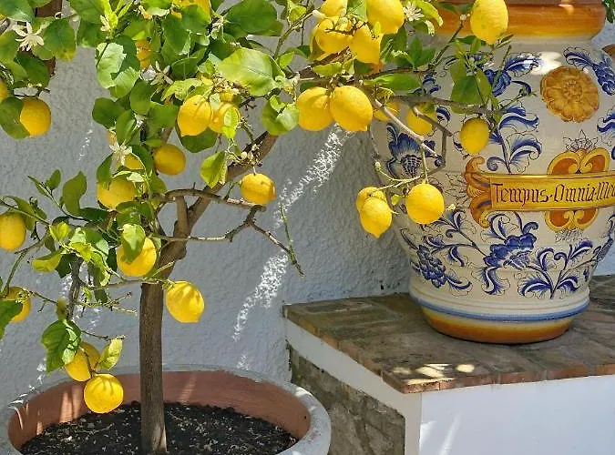 La Giuliva Charming Bed & Breakfast Anacapri (Isola di Capri)