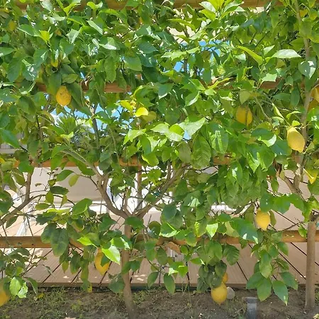 La Giuliva Charming Bed & Breakfast