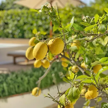 La Giuliva Charming Bed & Breakfast 4*