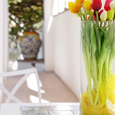 La Giuliva Charming 4* Anacapri (Isola di Capri)