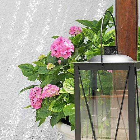 Bed & Breakfast La Giuliva Charming Anacapri (Isola di Capri)