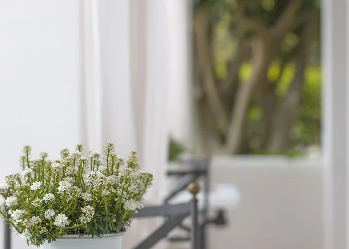 La Giuliva Charming Alojamento de Acomodação e Pequeno-almoço