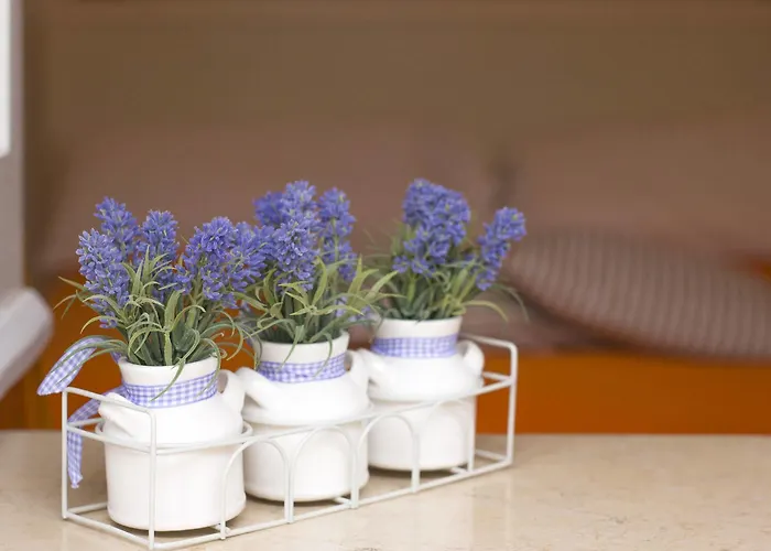 La Giuliva Charming Anacapri (Isola di Capri)