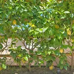 La Giuliva Charming Bed & Breakfast
